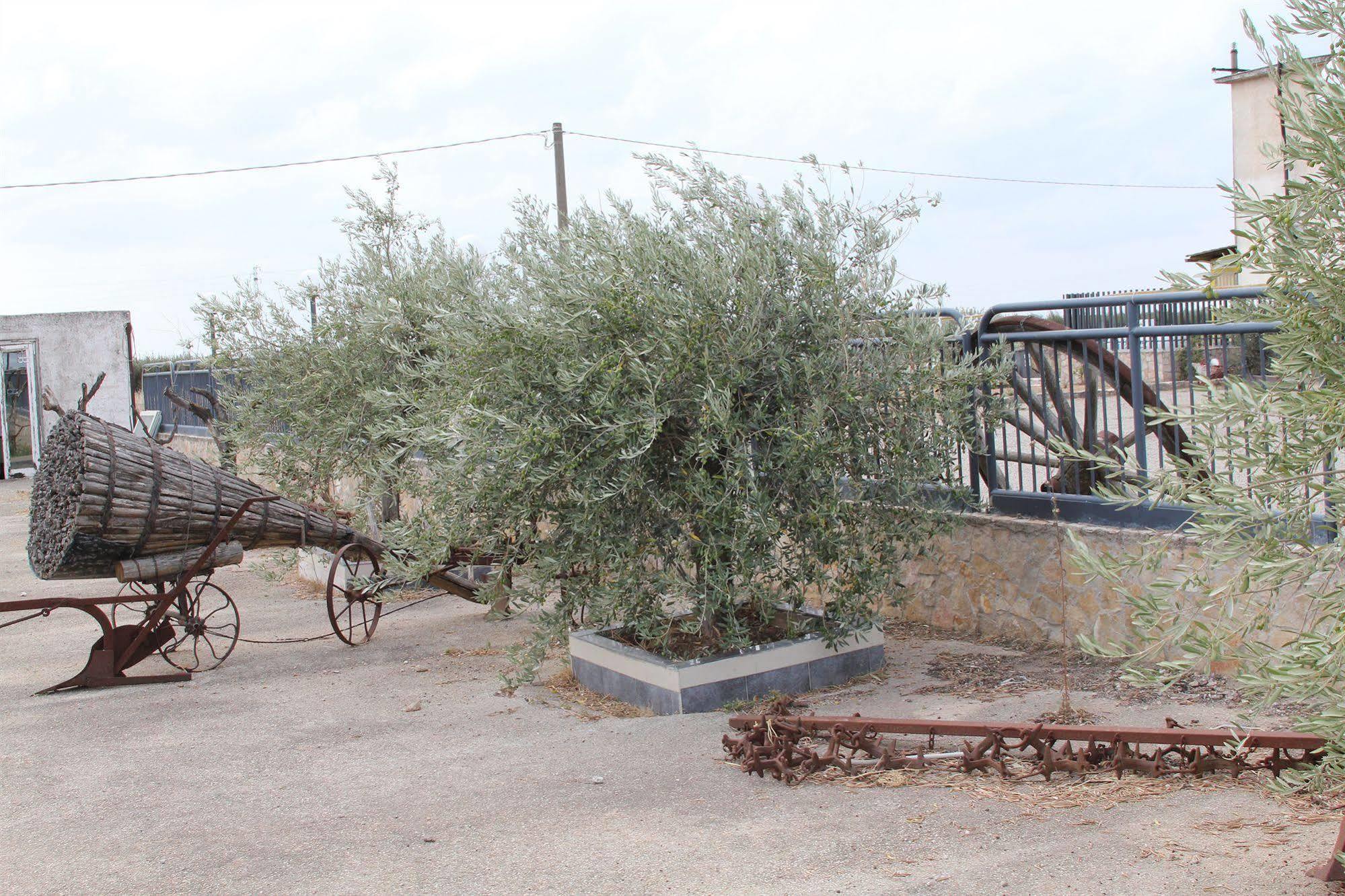 Agriturismo Silos Agri Villa San Severo Buitenkant foto